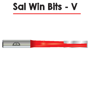 Sal-win-bits-v