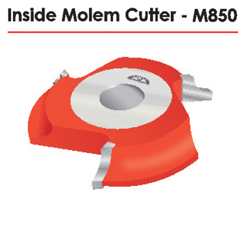 In Side Molem